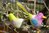 Vogel Anhänger im 6er Set Bonbonfarben